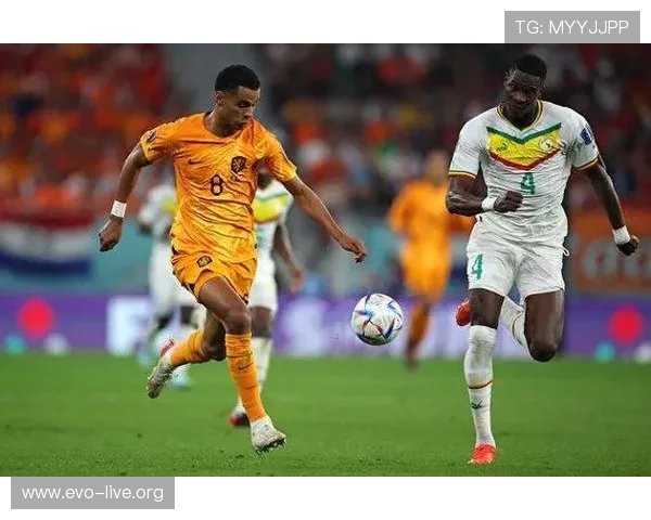 今日世界杯伤停情报影响解析与高阶赛程走势前瞻全面研判与战术变量