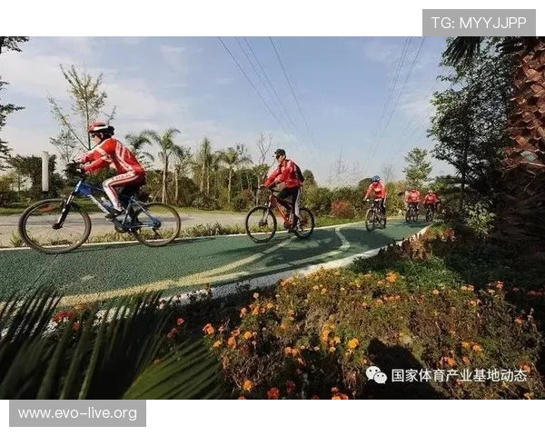 GOGO体育引领体育娱乐新潮流 打造全方位多元化体育平台体验