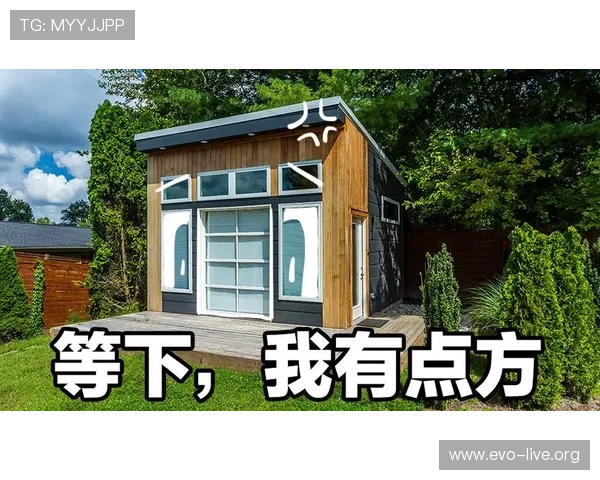 V2哈希技术解析与应用场景创新探索方法研究
